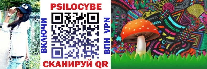 Галлюциногенные грибы Psilocybine cubensis  Нововоронеж 