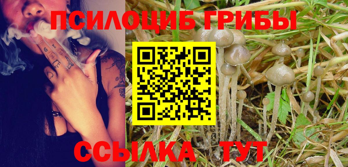 Псилоцибиновые грибы Magic Shrooms Нововоронеж
